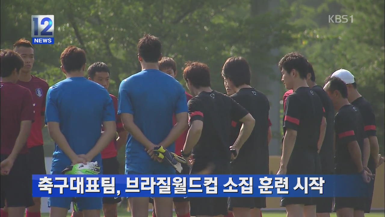 축구대표팀, 브라질월드컵 소집 훈련 시작