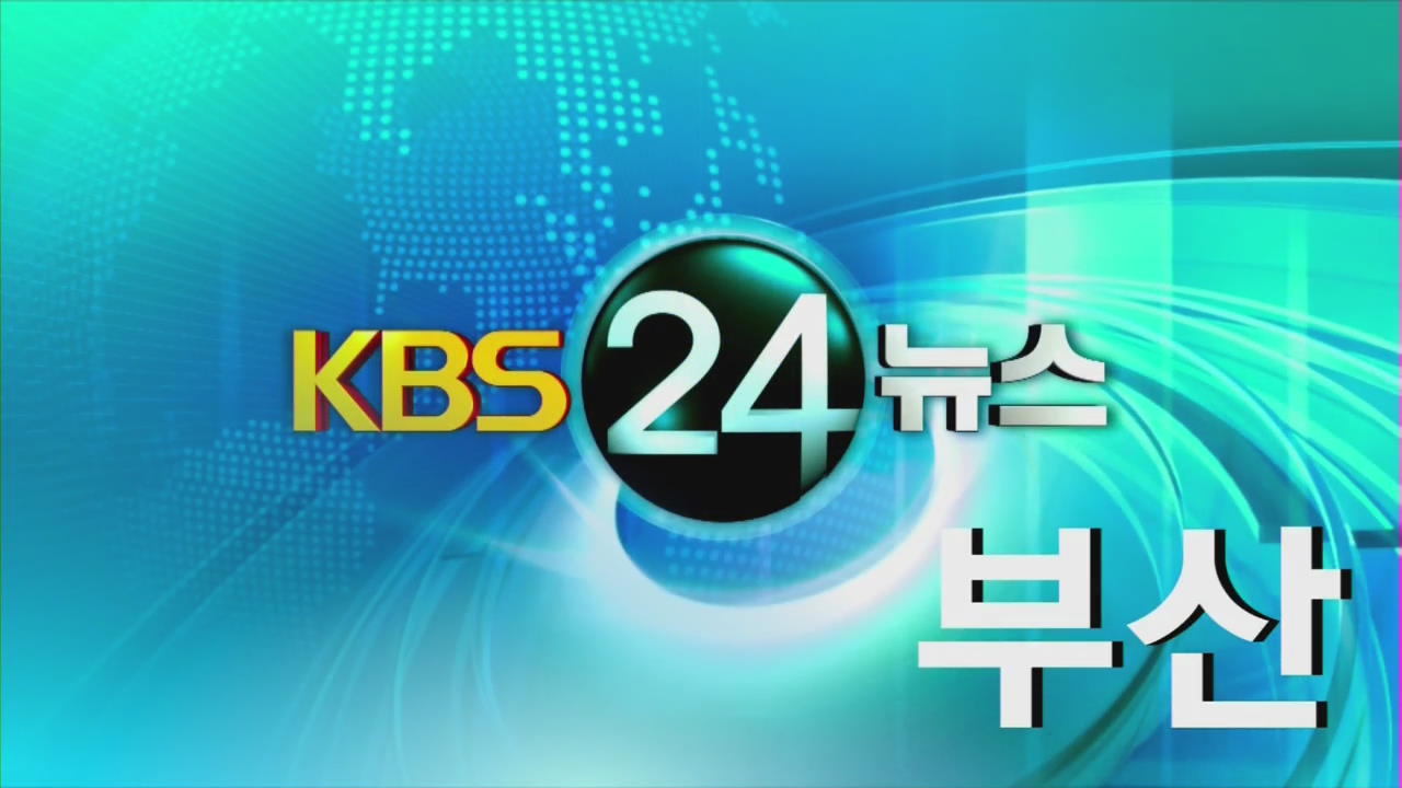 부산 지역종합뉴스