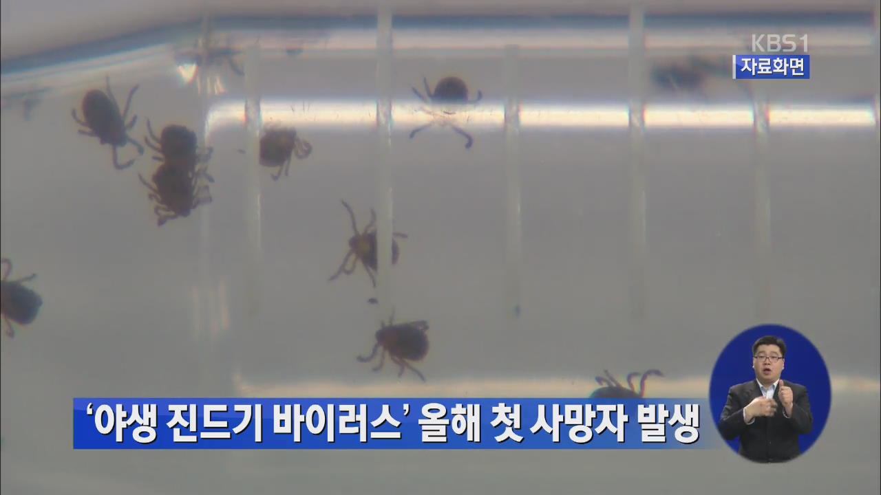 야생진드기 바이러스로 올해 첫 사망자 발생
