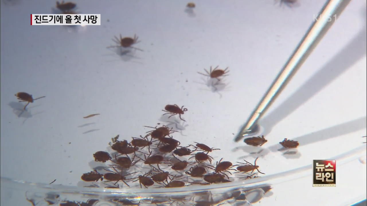 야생진드기 바이러스로 올해 첫 사망자 발생