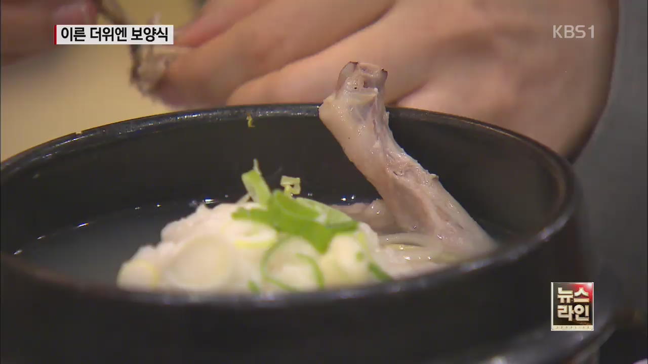 때 이른 더위에 보양식 매출 ‘껑충’