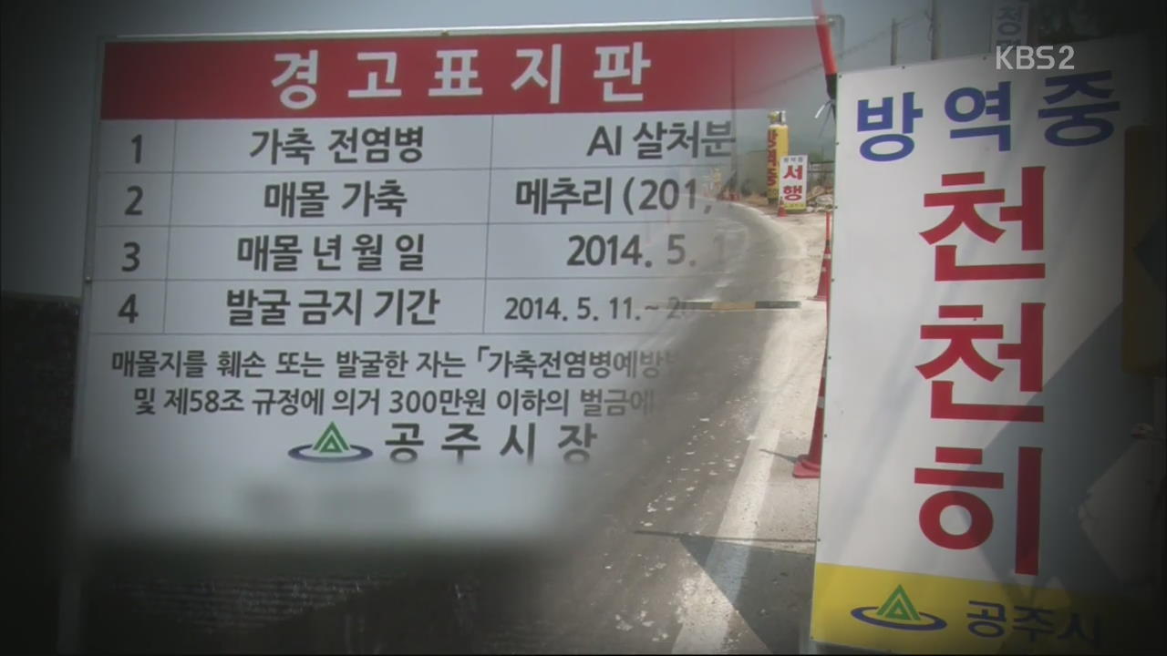 [뉴스 따라잡기] 초여름 더위에 AI 비상…토착화 우려