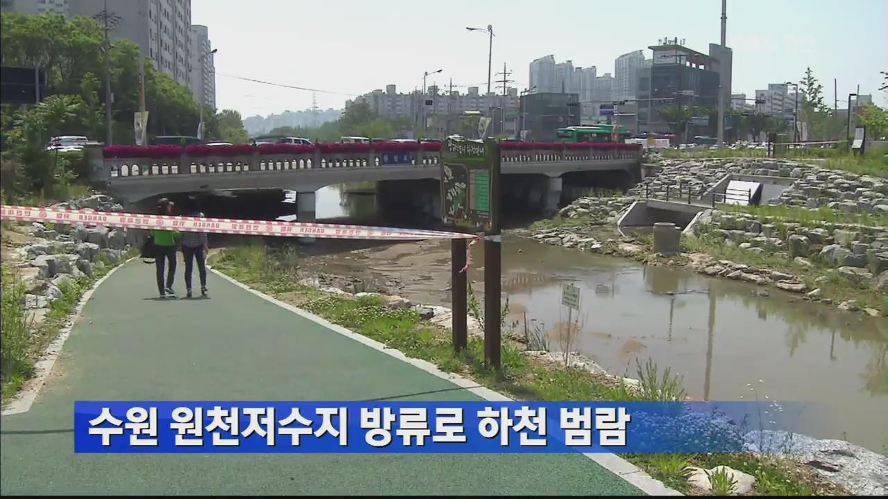 수원 원천저수지 방류로 하천 범람
