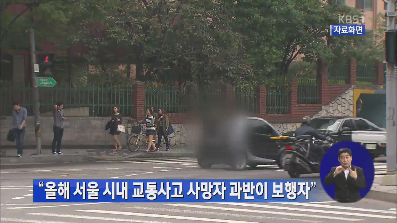 “올해 서울 시내 교통사고 사망자 과반이 보행자”