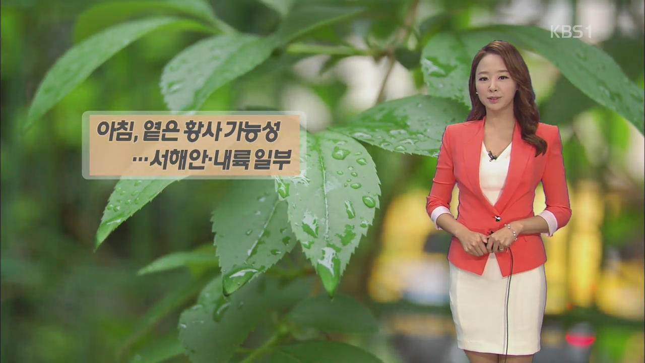 내일 아침 비 그친 뒤 옅은 황사 가능성