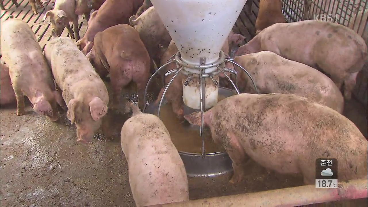 효과없는 악취 저감 사업…주민 고통 반복