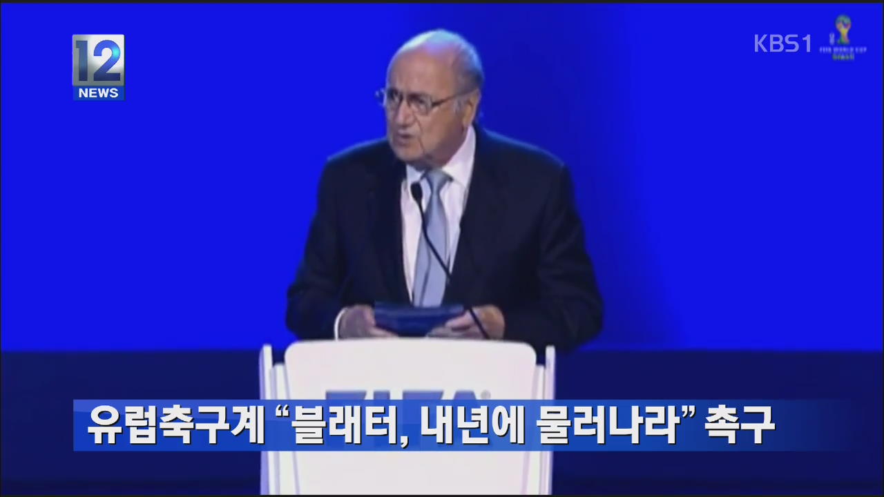 유럽축구계 “블래터, 내년에 물러나라” 촉구