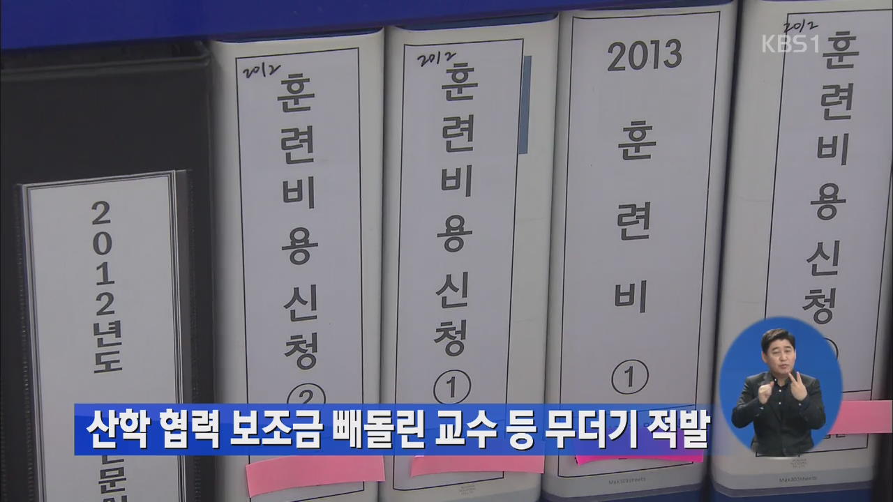 산학 협력 보조금 빼돌린 교수 등 무더기 적발