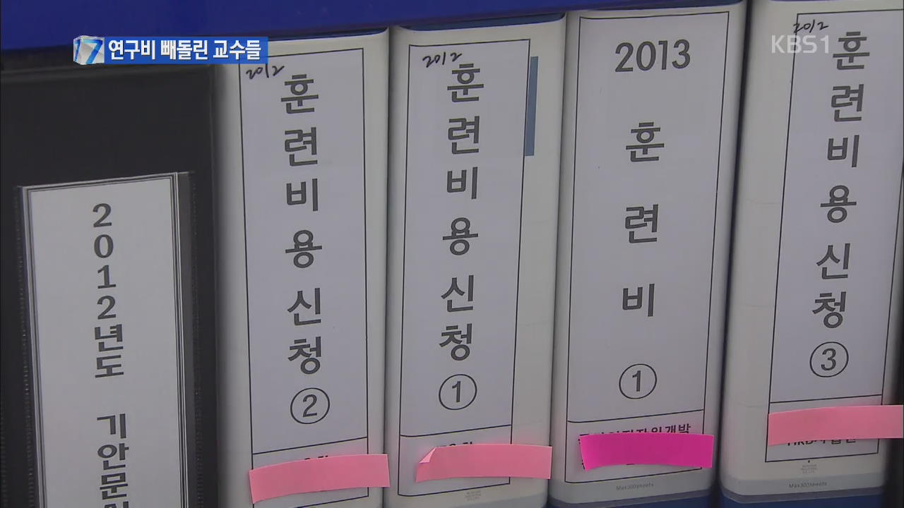 연구비 빼돌린 유명대 교수들 무더기로 적발