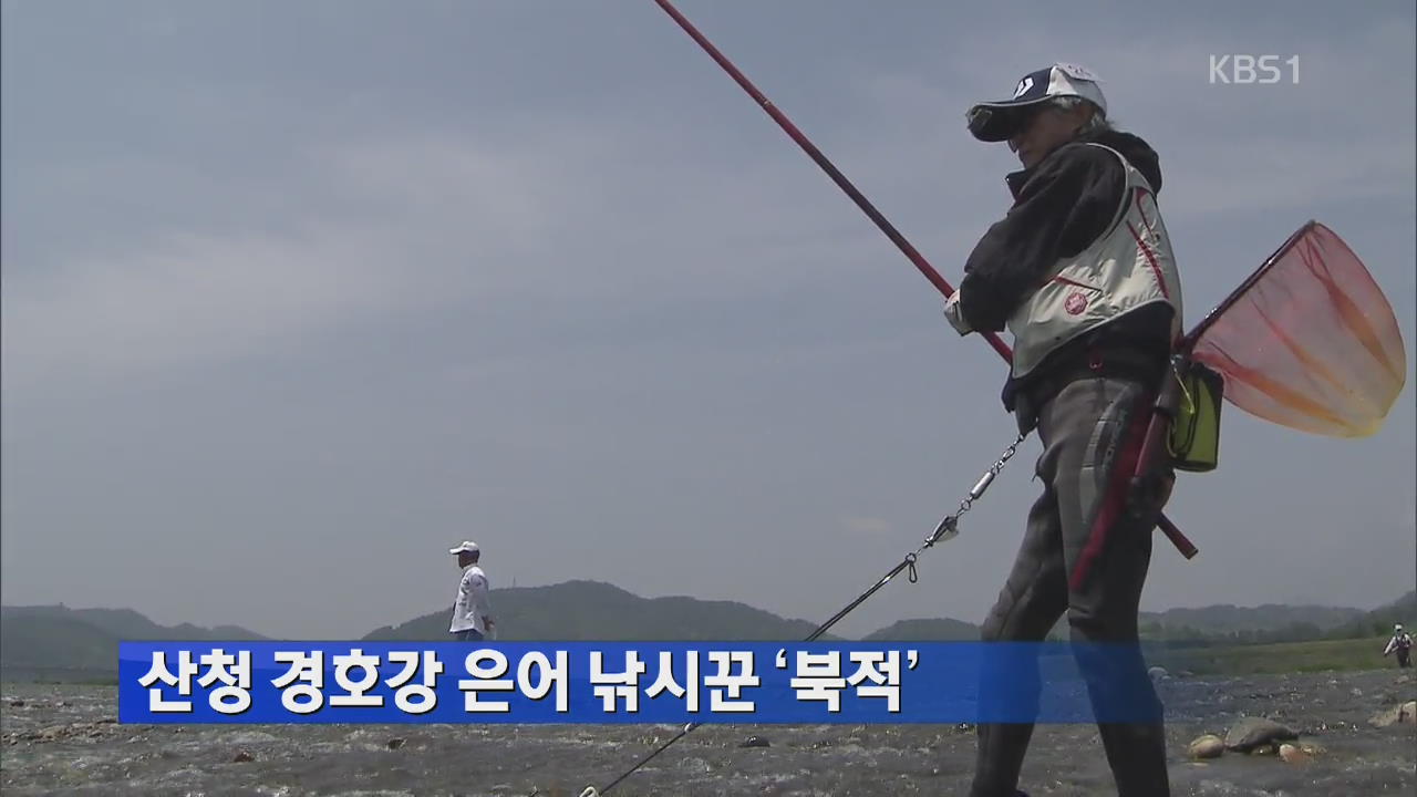 산청 경호강 은어 낚시꾼 ‘북적’