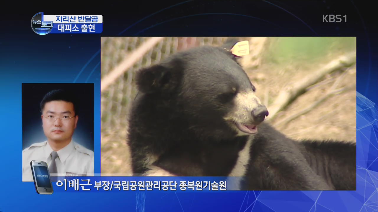 [오늘의 이슈] 반달곰이 코 앞에…등산객 혼비백산