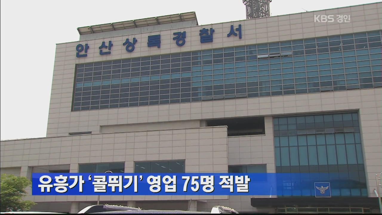 유흥가 ‘콜뛰기’ 영업 75명 적발