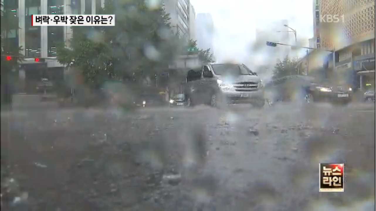 천둥·번개치다 ‘쨍’…내일까지 날씨 변덕