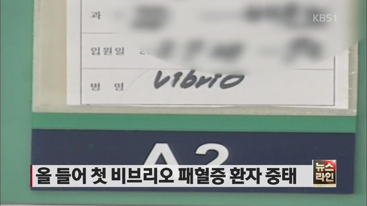 올 들어 첫 비브리오 패혈증 환자 중태