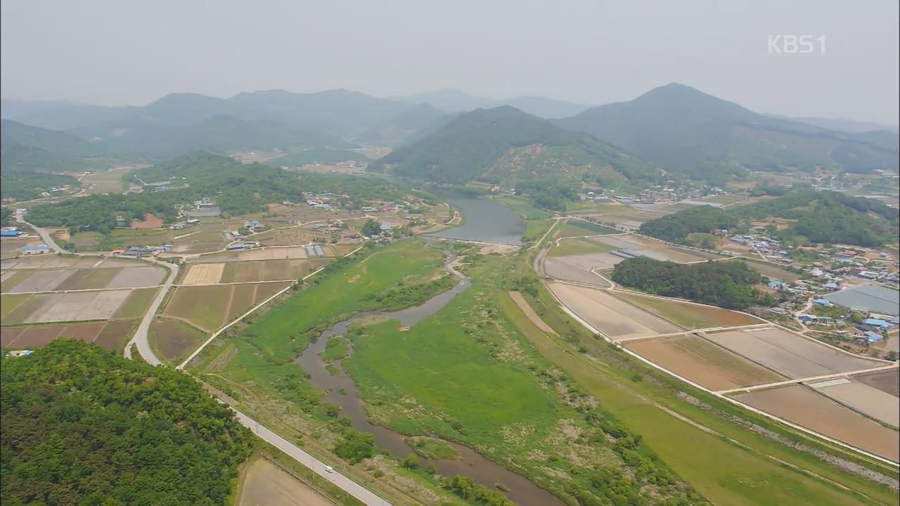 [영상] 청양 지천 미호종개 서식지
