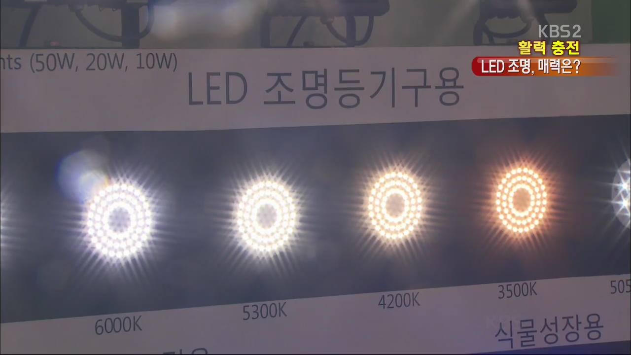 [활력충전] LED 조명, 이런 점이 매력!