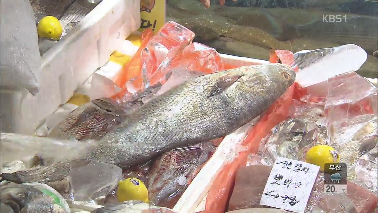 여름철 대표 보양식 ‘민어’ 가격 큰 폭 하락