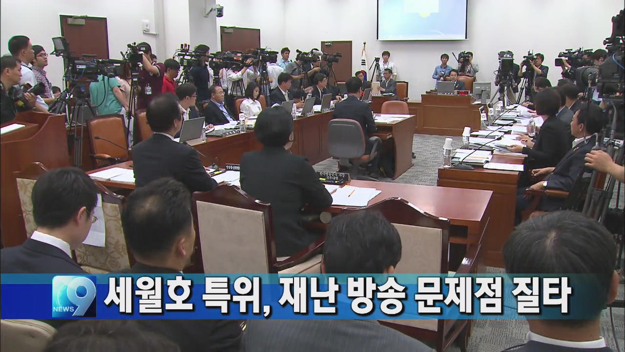 세월호 특위, 재난 방송 문제점 질타