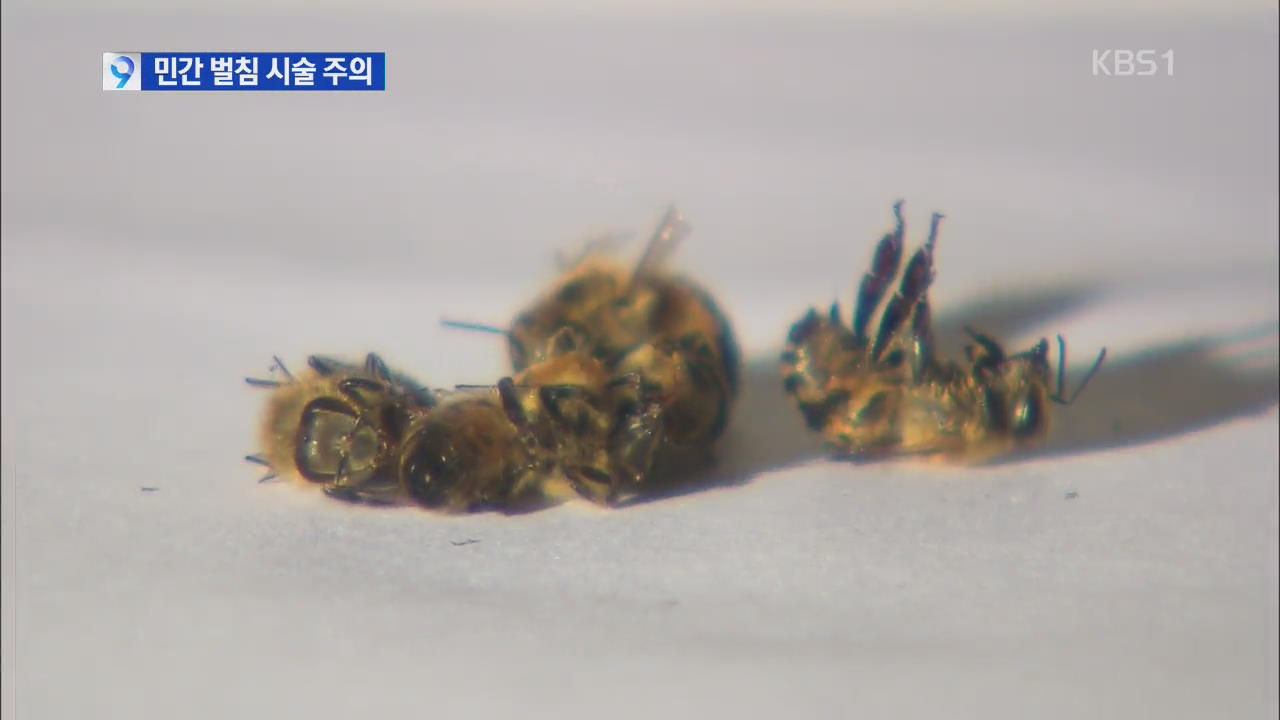 무분별한 민간 벌침 시술 위험…50대 쇼크사