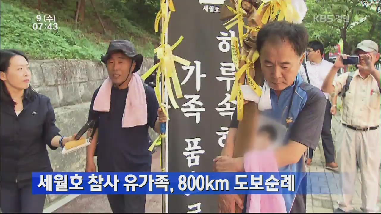 세월호 참사 유가족, 800㎞ 도보 순례