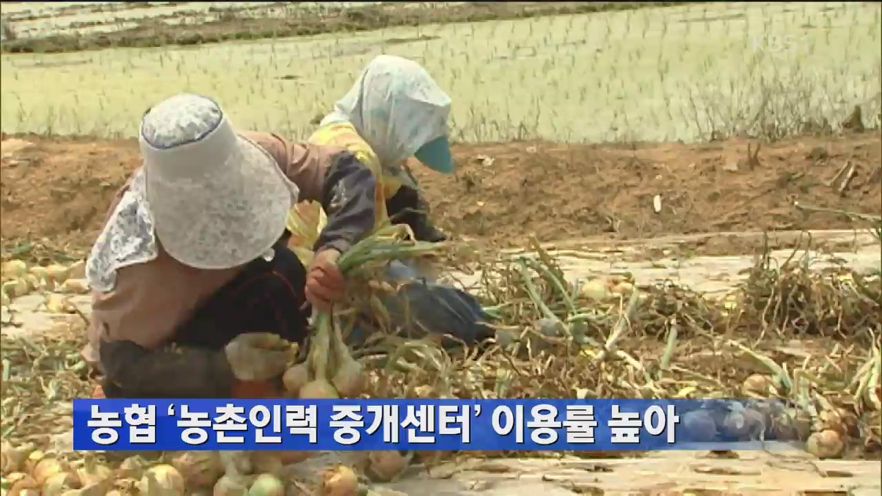 농협 ‘농촌인력 중개센터’ 이용률 높아 