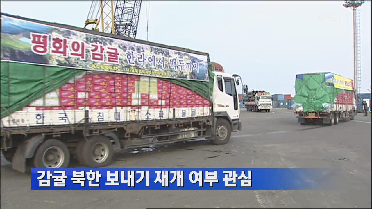 제주 감귤 북한 보내기 재개 여부 관심
