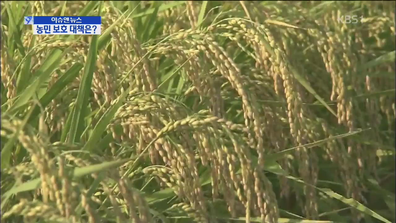 [이슈&뉴스] 쌀 시장 개방 ‘성난 농심’…농민 보호 대책은?