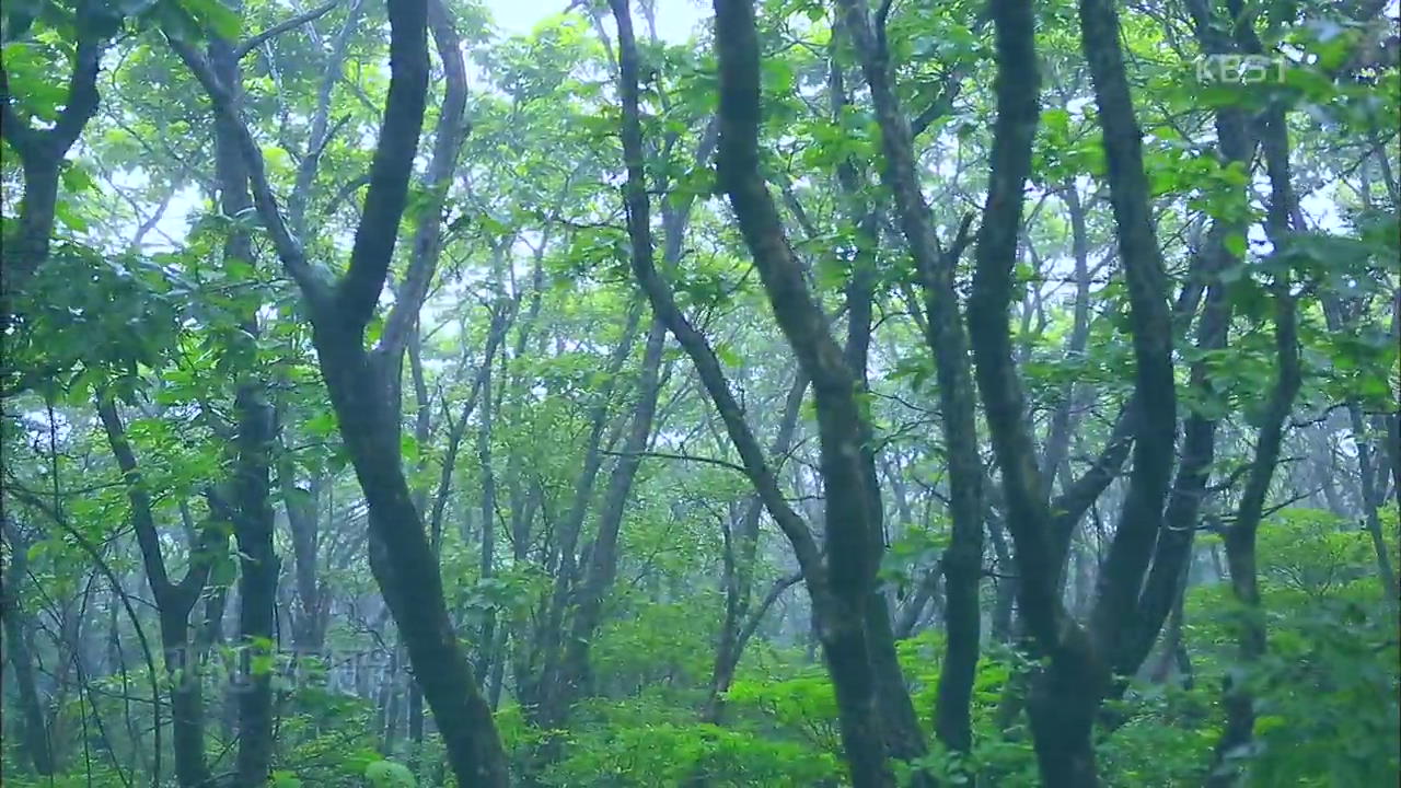 [뉴스광장 영상] 지리산 국립공원