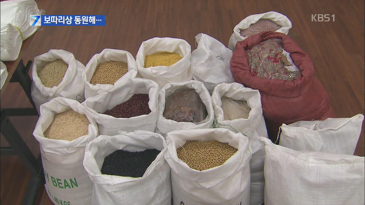 ‘보따리상’ 동원해 중국산 밀수 농산물 대거 유통