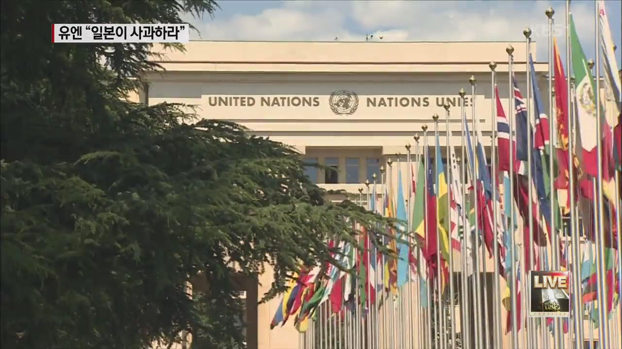 유엔 기구 “일 정부는 위안부 공개 사과·배상하라”