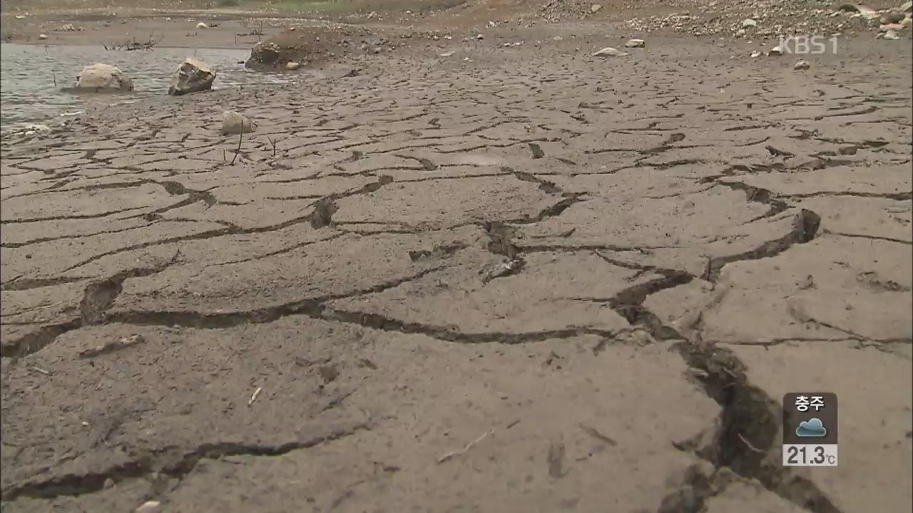 ‘최악 가뭄’ 드러난 저수지·타들어가는 농작물