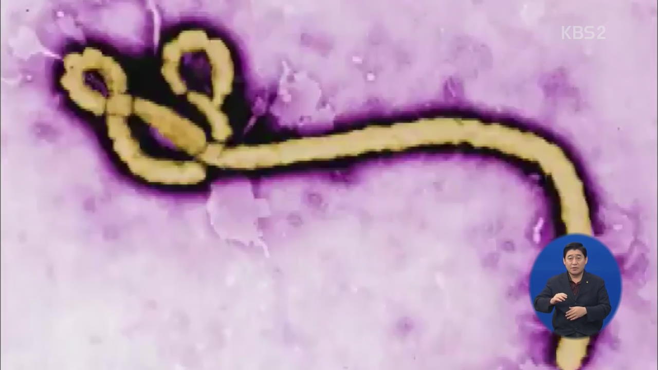 미 ‘에볼라’ 감염 환자 송환 논란…공포 확산