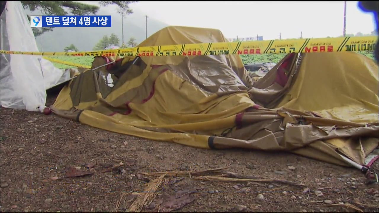 강풍에 부러진 소나무 텐트 덮쳐 4명 사상