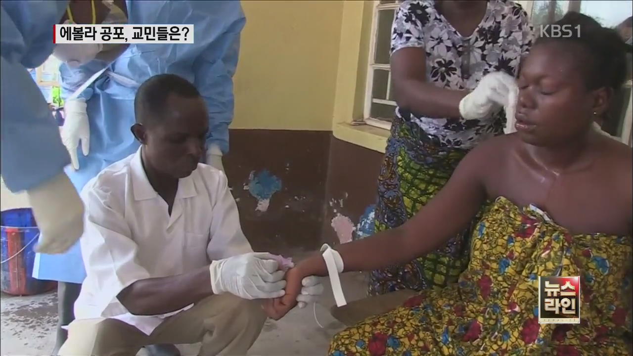 에볼라 발병국 교민 8백여 명 안전 비상 