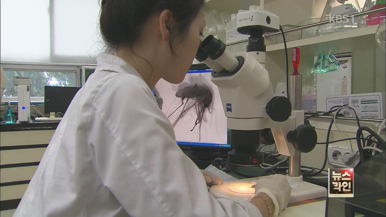 전국에 일본 뇌염 경보…“예방 접종 확실히”