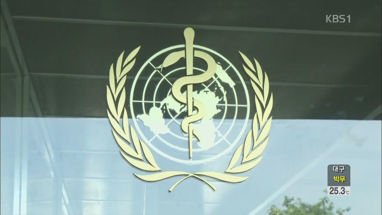 WHO, ‘에볼라 바이러스 비상사태’ 선포 검토