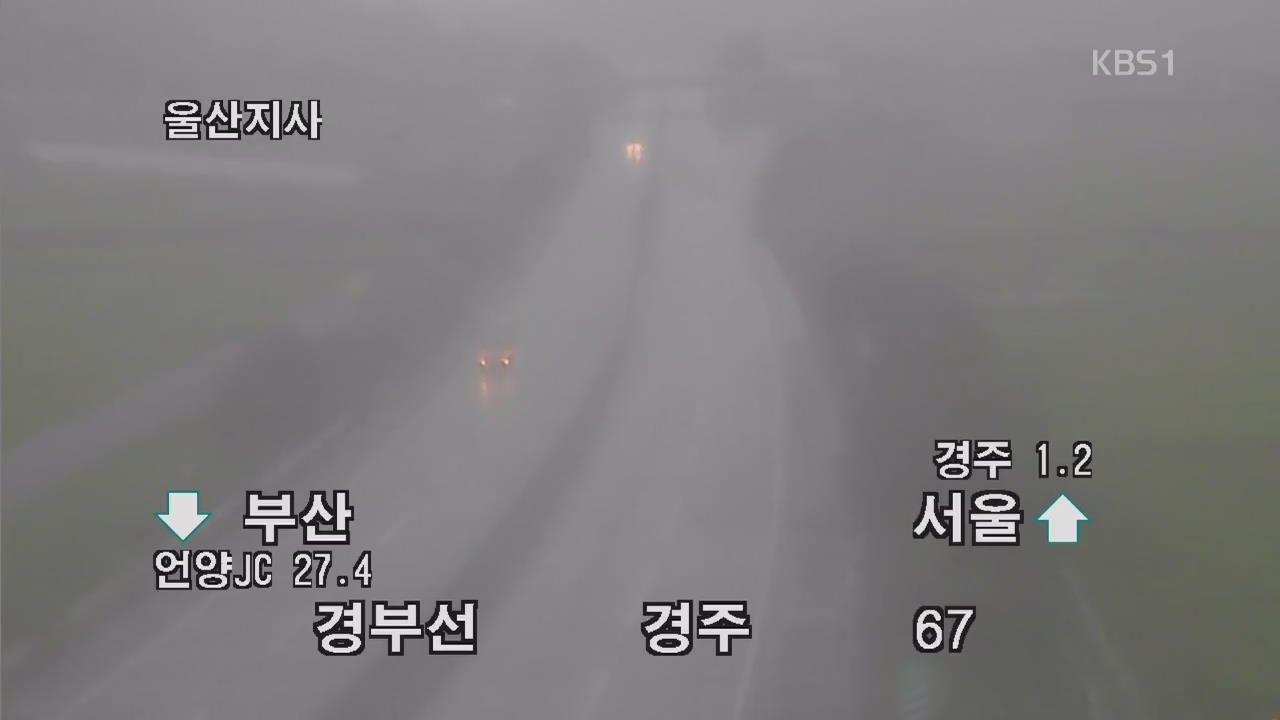 이 시각 고속도로