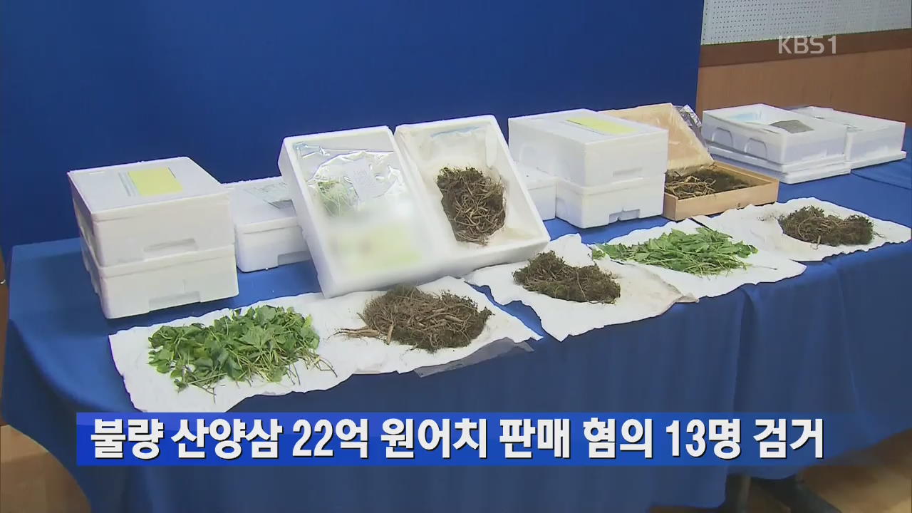 불량 산양삼 22억 원어치 판매 혐의 13명 검거