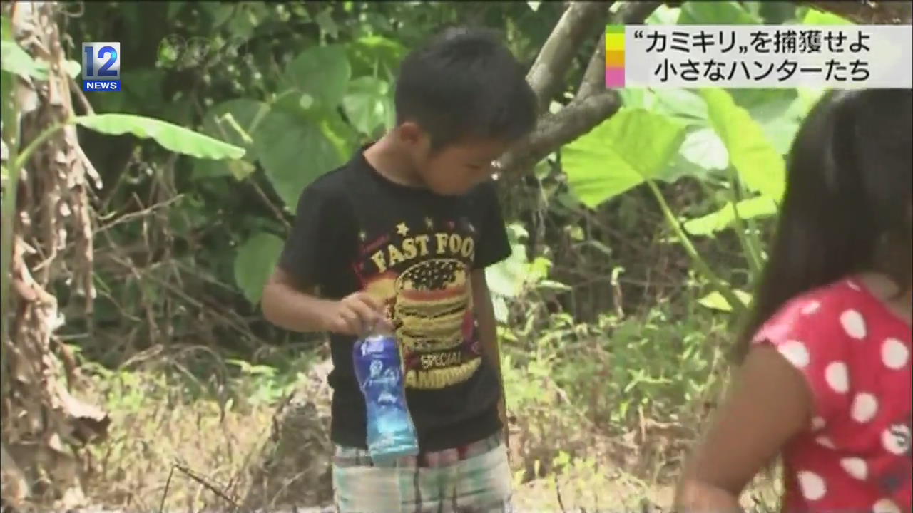 일본, 농작물 보호에 나선 어린이 사냥꾼들!