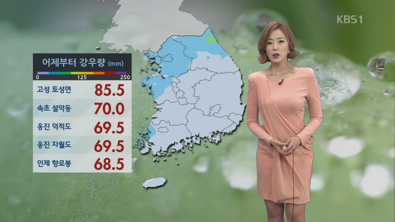 국지성 호우 주의…밤 늦게 대부분 그쳐