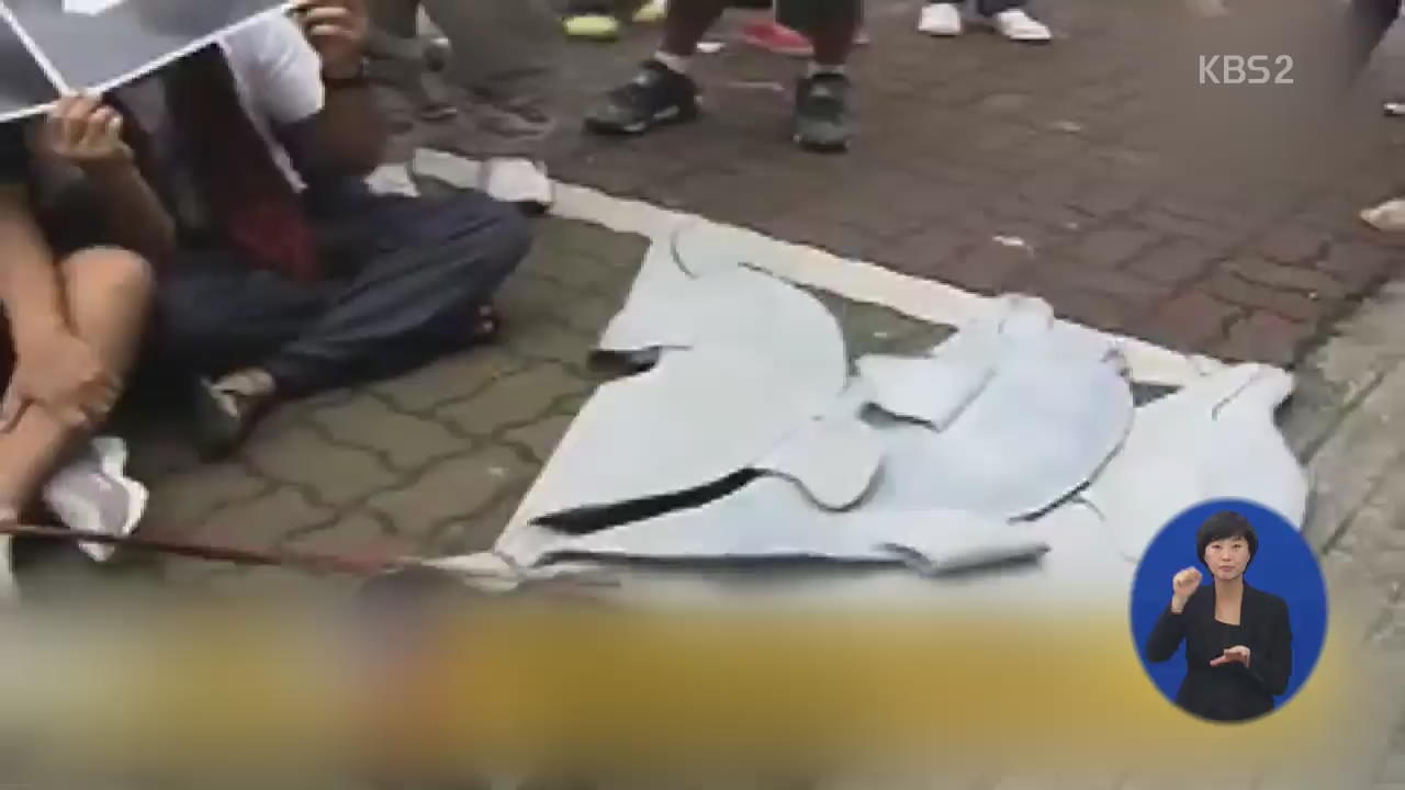 일본 잔혹한 ‘돌고래 사냥’…논란 가열