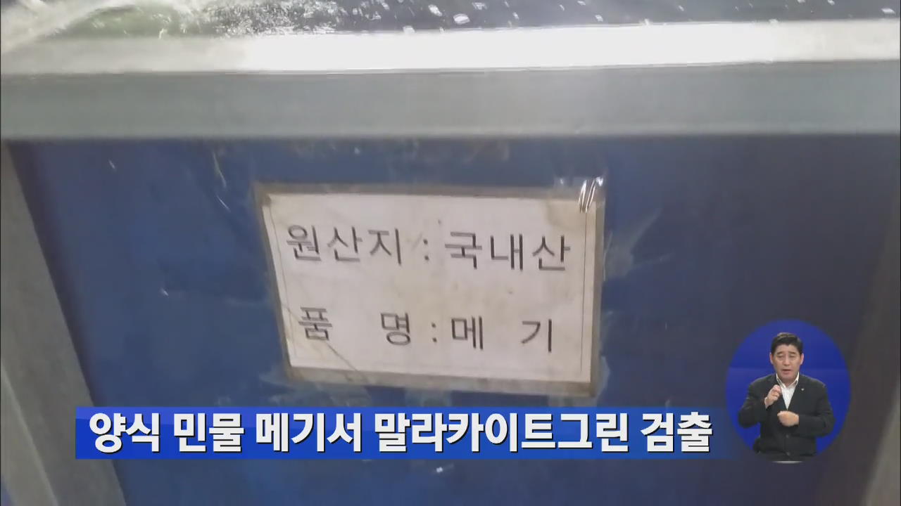 양식 민물 메기서 말라카이트그린 검출