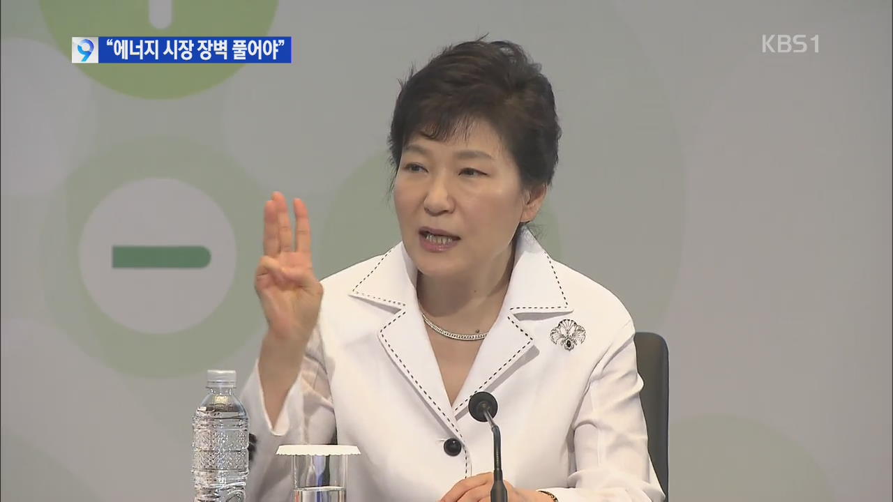 박 대통령 “전력 시장 민간인 참여 보장해야” 