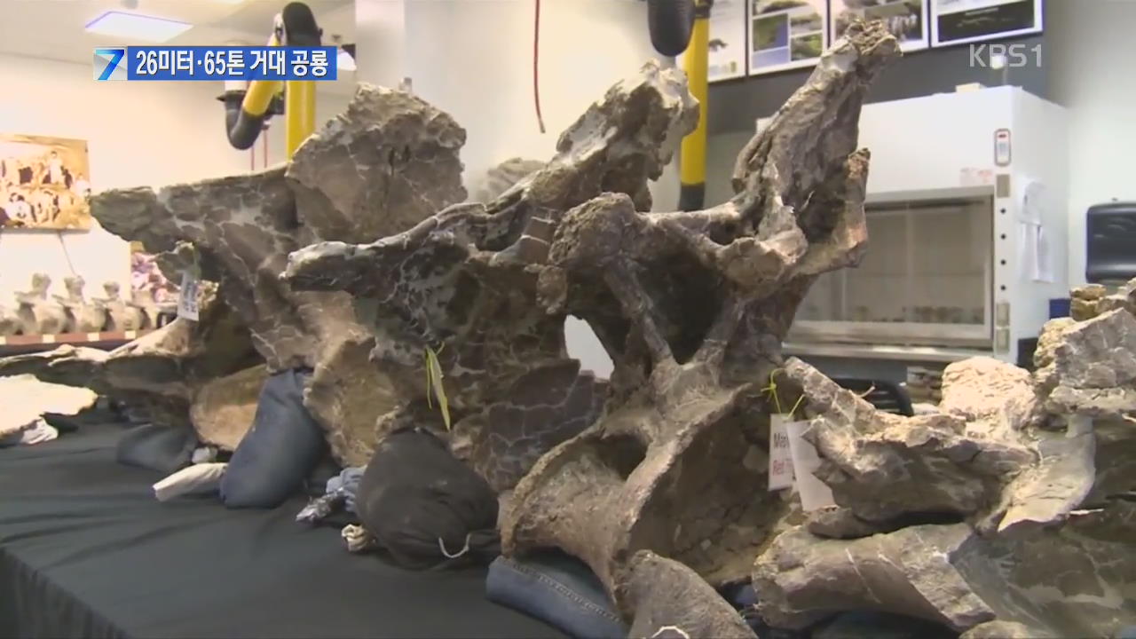 “보잉 737보다 무거운 사상 최대 공룡화석 발견”