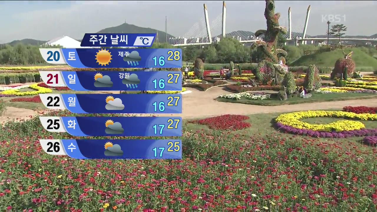 [이 시각 현장] 인천 드림파크 국화축제