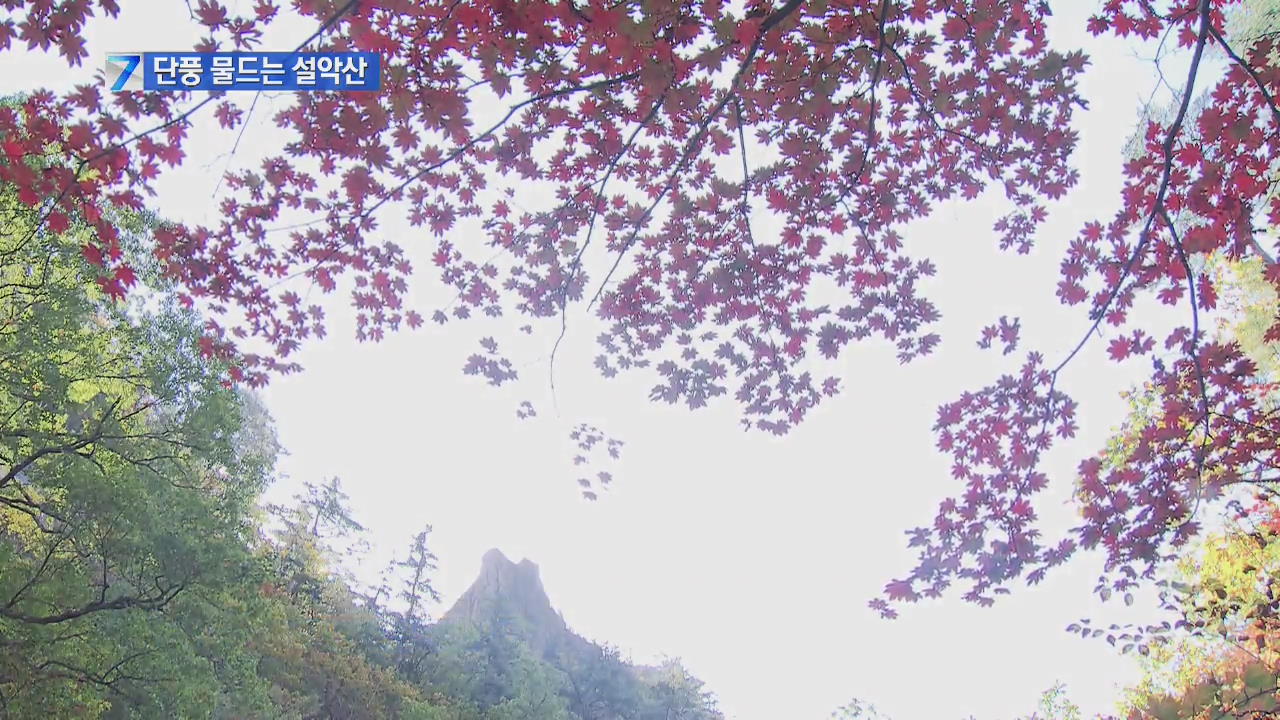 단풍 물드는 설악산…다음 달 18일쯤 절정