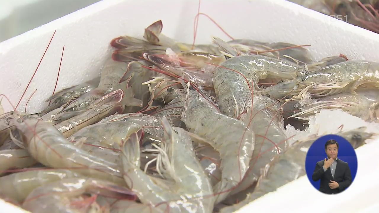 제철 맞은 새우…“달짝지근 생물 새우 맛보세요”