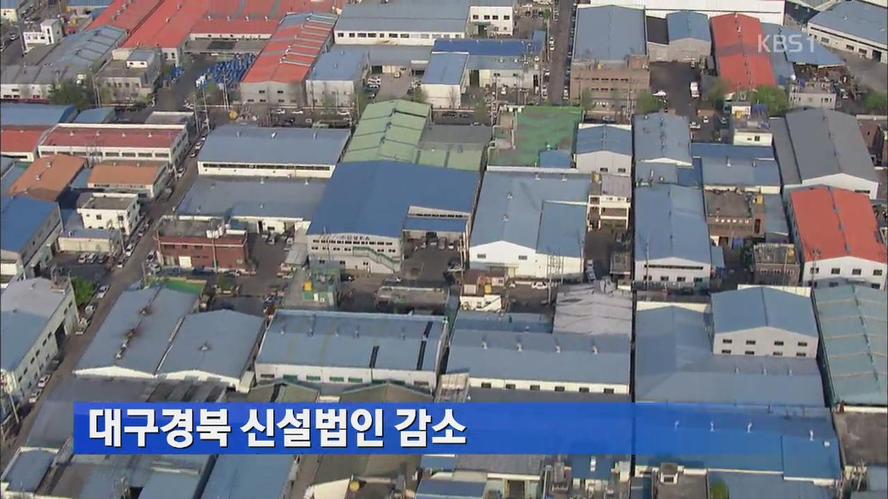 대구경북 신설법인 감소