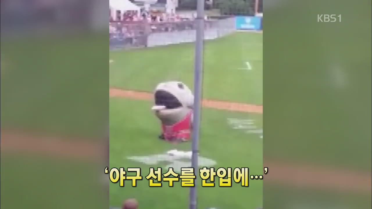 [세상의 창] “야구 선수를 한 입에...”