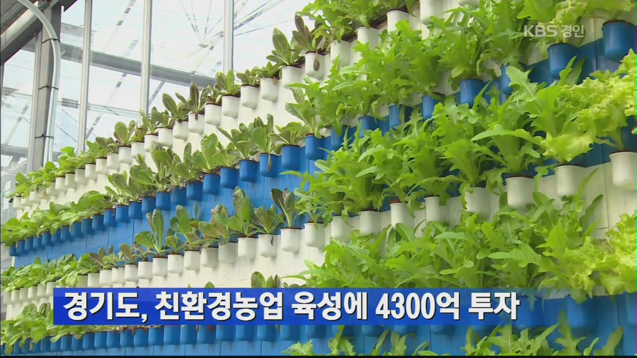 경기도, 친환경농업 육성에 4,300억 투자